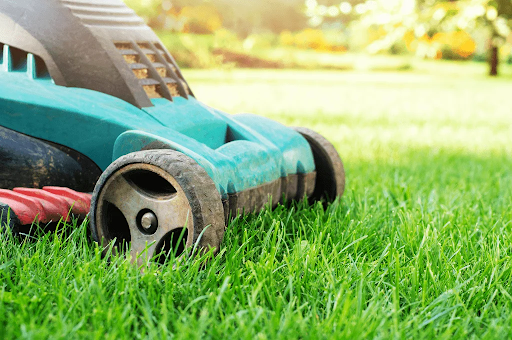 Lawn Maintenance Service