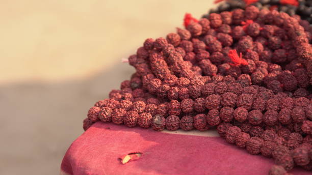 Original Rudraksha dealer Sahakara Nagar